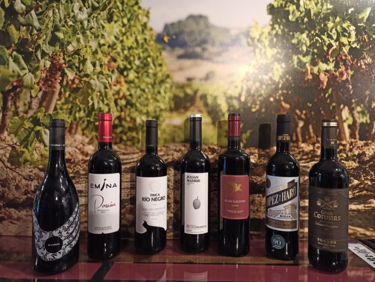 270453011 5488940894454849 4285075312216017158 n 768x577