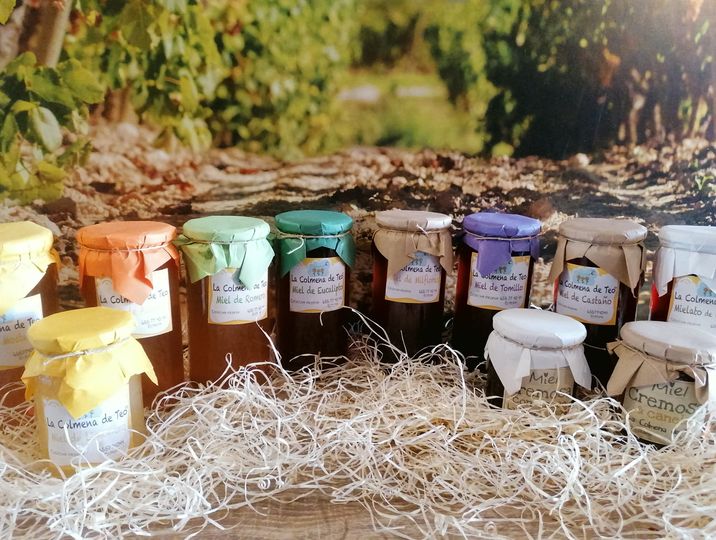 271842256 5537147016300903 1285510133804775885 n